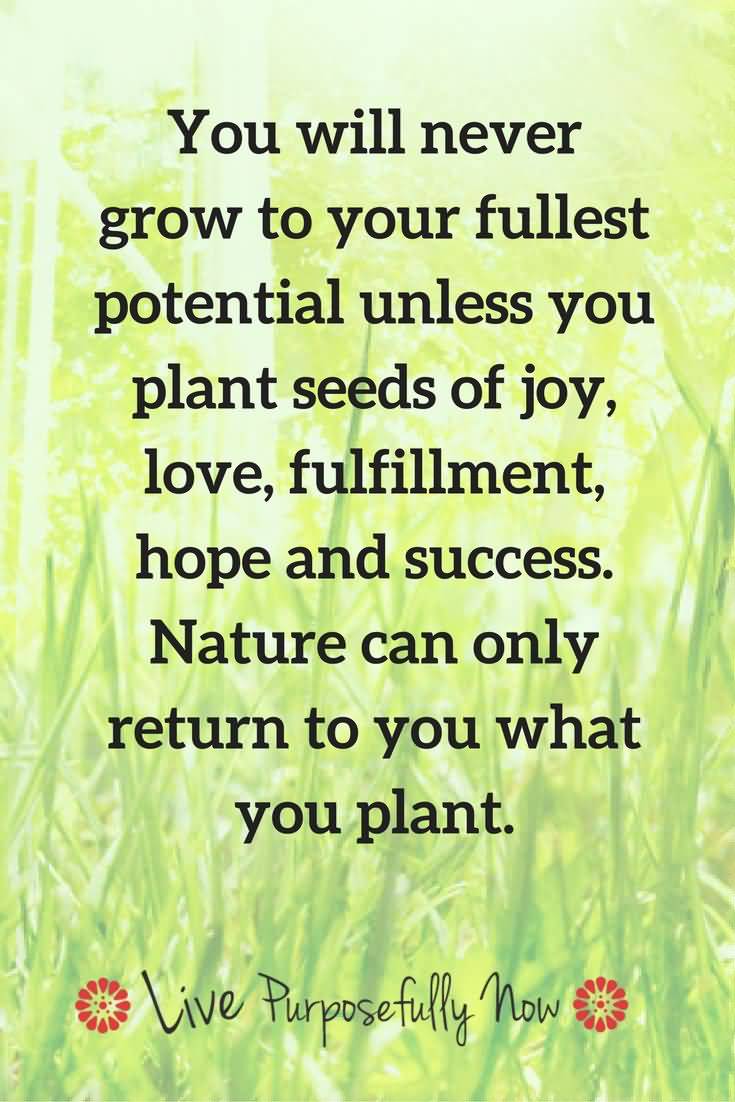 Quotes About Planting Seeds For Life 08