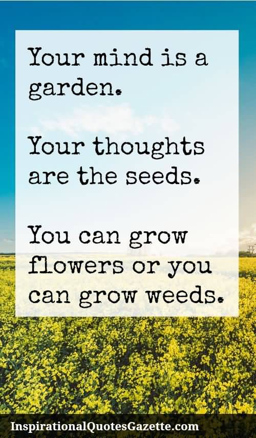Quotes About Planting Seeds For Life 09