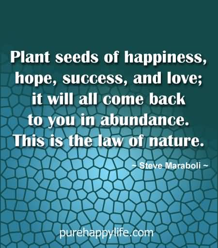 Quotes About Planting Seeds For Life 11