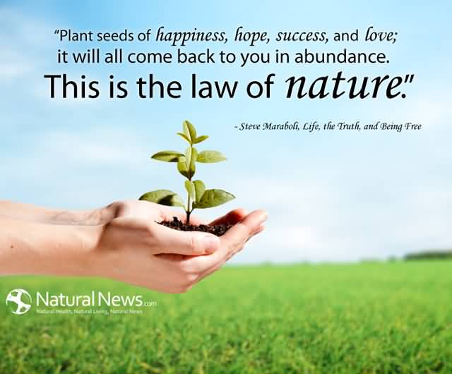 Quotes About Planting Seeds For Life 13