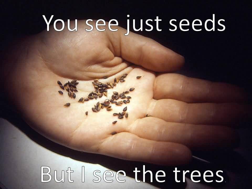Quotes About Planting Seeds For Life 15