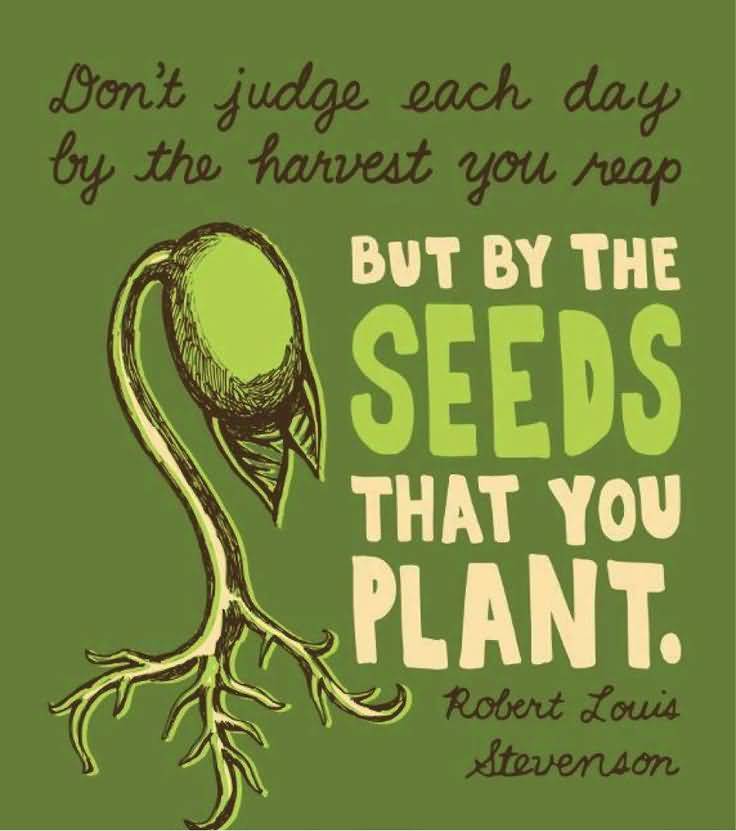 Quotes About Planting Seeds For Life 16
