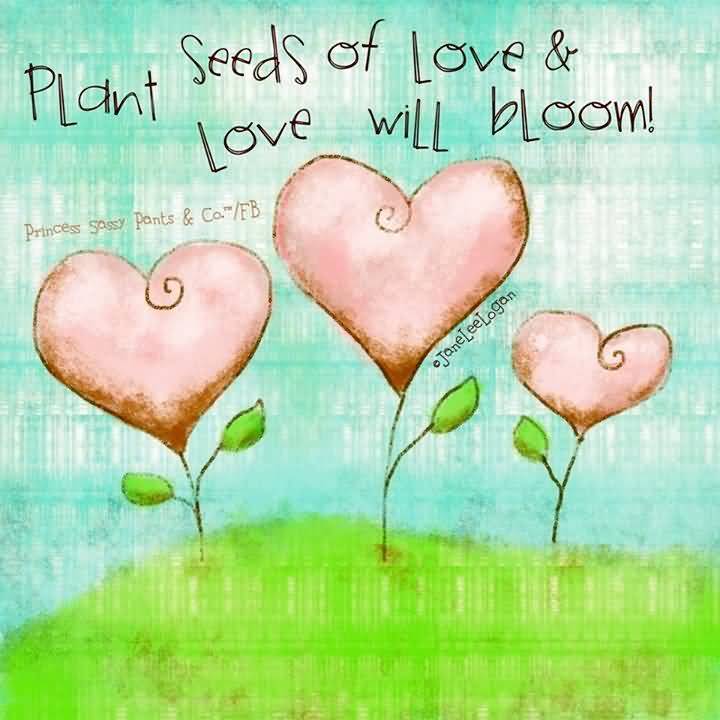 Quotes About Planting Seeds For Life 19