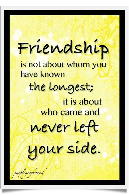 Quotes About Smile And Friendship 13
