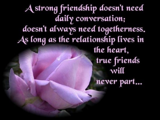 Quotes About Strong Friendship 06