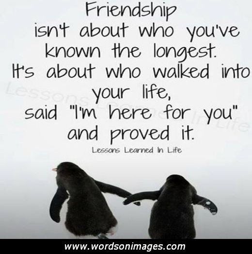 Quotes About Unexpected Friendship 13