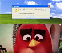 Windows Xp Meme Image Joke 01
