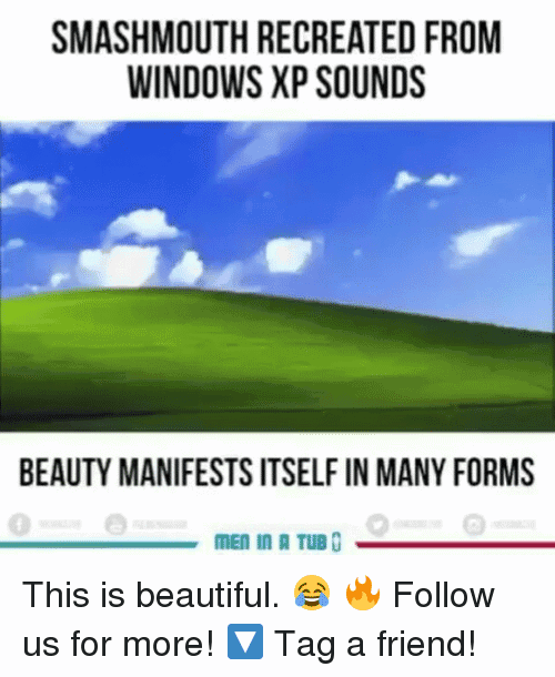 Windows Xp Meme Image Joke 10