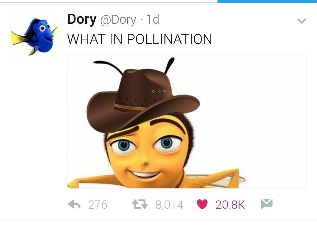 15 Top Wot N Ternation Meme Images and Photos