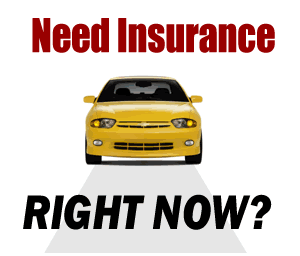 cheap car insurance quotes 01