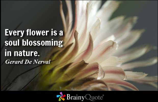 Quotes On Flowers And Love 12