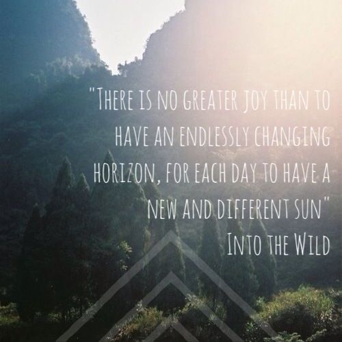 into the wild quotes 17