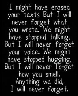 I Will Never Forget You Quotes Death Picture 01