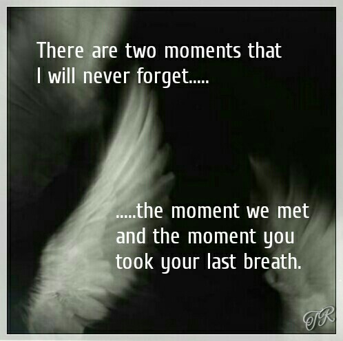I Will Never Forget You Quotes Death Picture 16