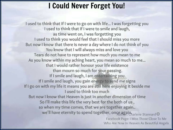 I Will Never Forget You Quotes Death Picture 17
