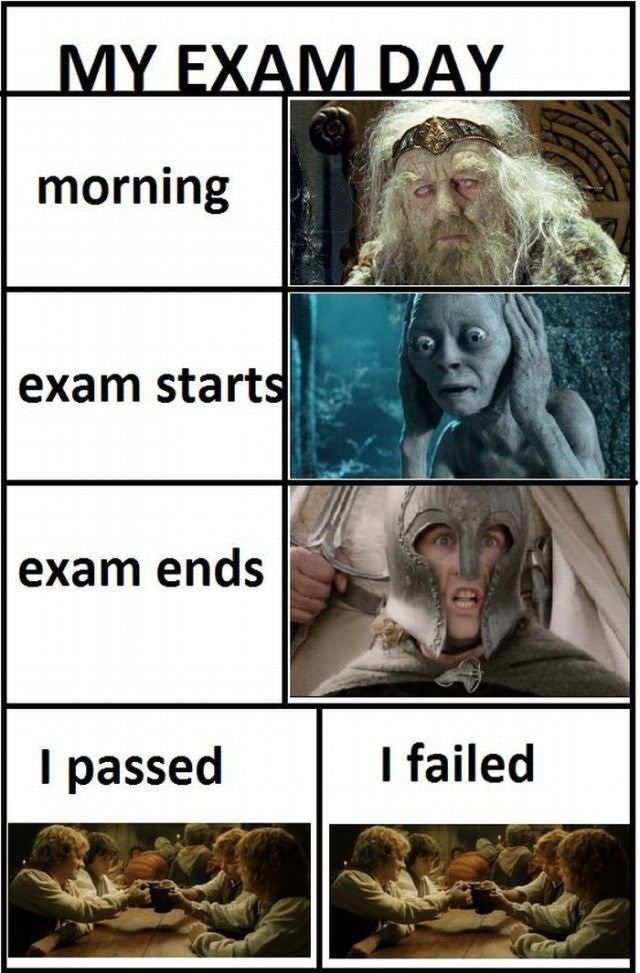 My Exam Day Funny Quotes About Finals Week