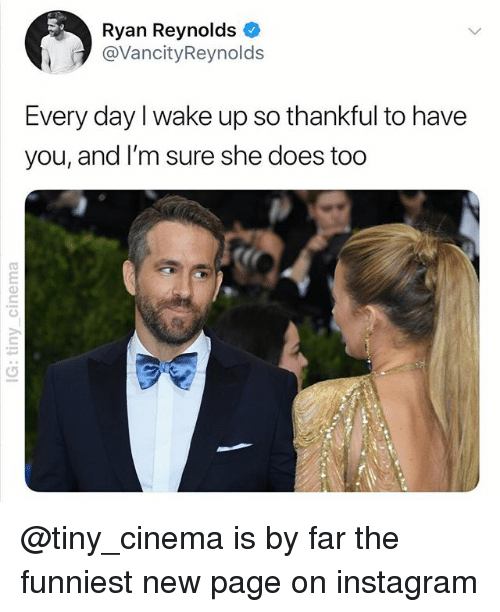 Ryan Reynolds Meme Image 28