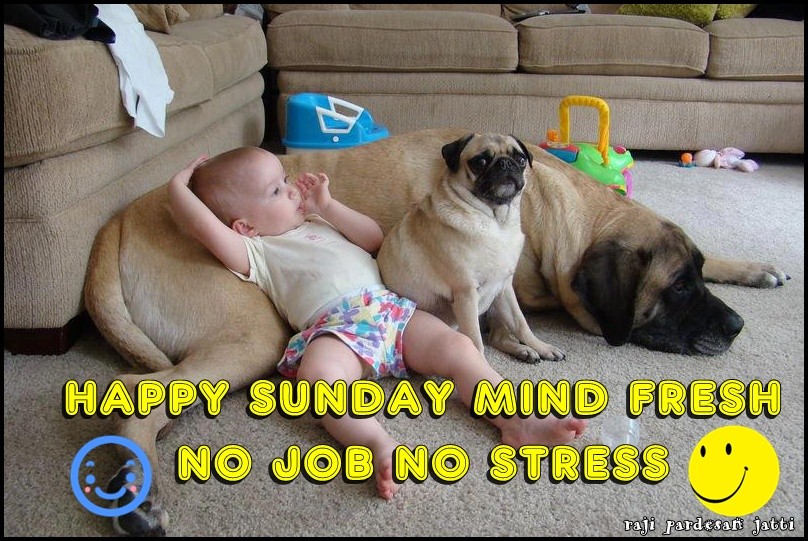 Happy Sunday Mind Fresh No Job