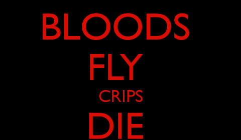 Bloods Fly Crips Die Blood Gang Quotes