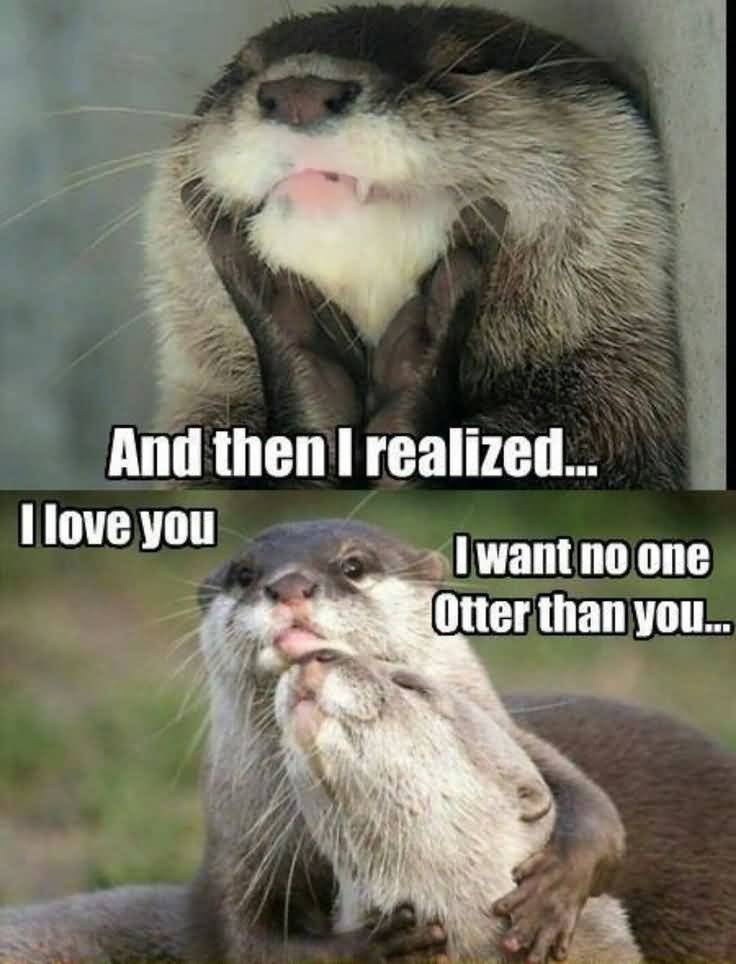 And the i realized i love you i want no one otter than you I Love You Memes Images