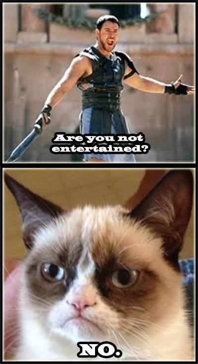 Are you not entertained no Grumpy Cat Memes Pic