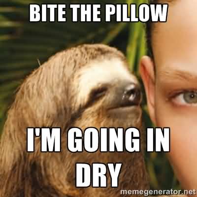 Bite the pillow i'm going in dry Funny Sloth Wisper Memes
