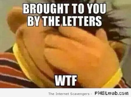 Brought To You By The Letters Wtf Hilarious WTF Meme