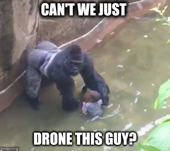 Can't We Just Drone This Guy Harambe Meme