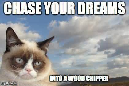 Chase your dreams into a wood chipper Grumpy Cat Memes Image