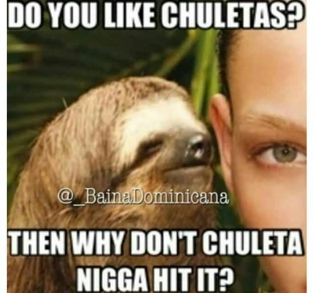 Do you like chuletas then why don't chulets nigga hit it Funny Sloth Memes