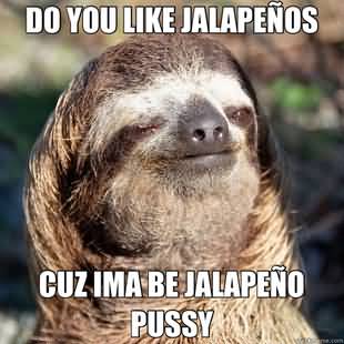 Do you like jalapenos cuz ima be Funny Sloth Memes