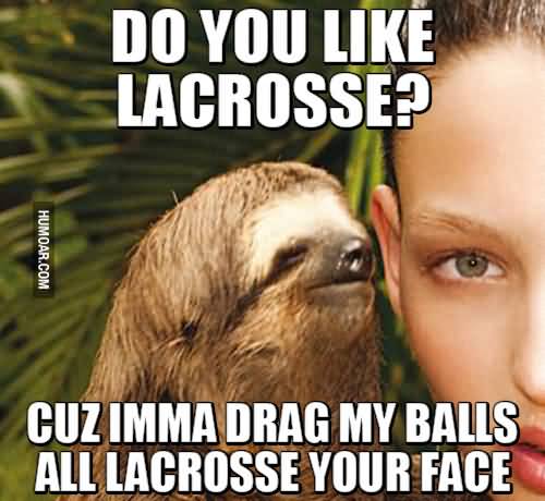 Do you like lacrosse cuz imma drag my balls Funny Sloth Wisper Memes