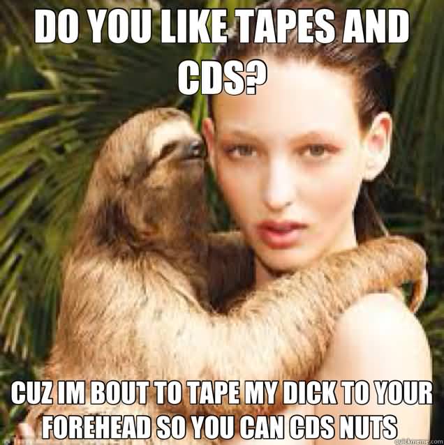 Do you like tapes and cds Funny Sloth Wisper Memes