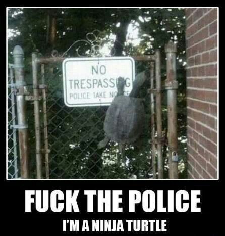 Fuck The Police I Am Ninja Turtle Funny Ninja Memes