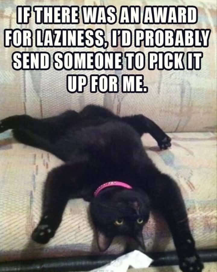 Funny Lazy Meme If There Was An Award For Laziness
