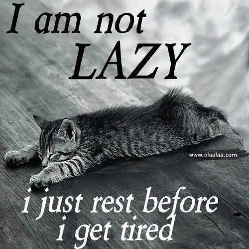 Funny Lazy Memes I Am Not Lazy I Just Rest Before I Get Tired