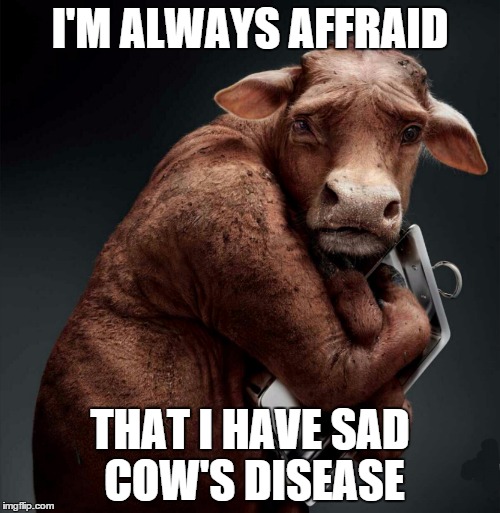 Funny Lazy Memes I'm Always Affraid That i Have Sad Cow's Disease