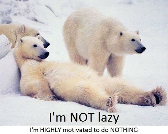 Funny Lazy Memes I'm Not Lazy I'm Highly Motivated
