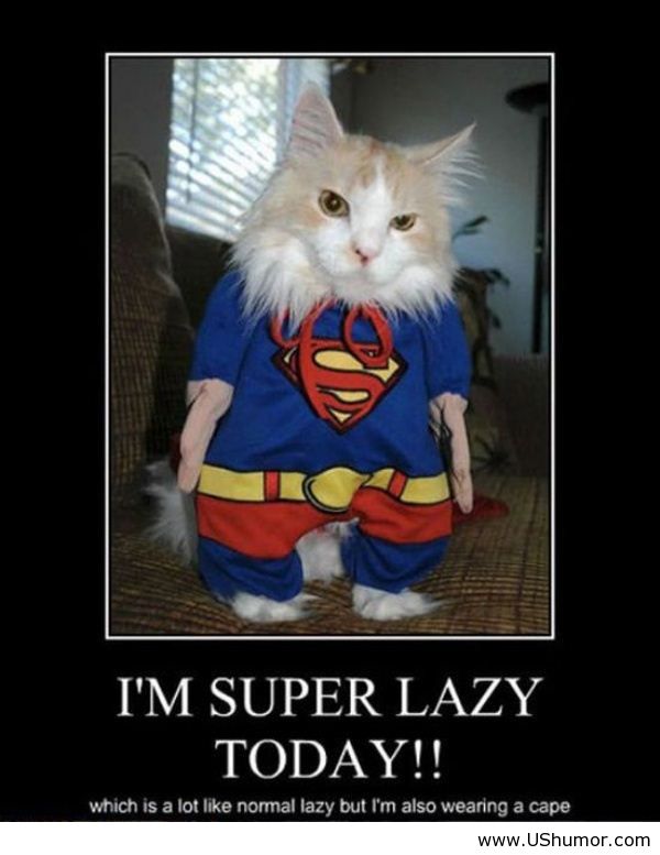 Funny Lazy Memes I'm Super Lazy Today!!