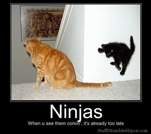 Funny Ninja Memes Ninjas When U See Them Comin Its Already Too Late Picture