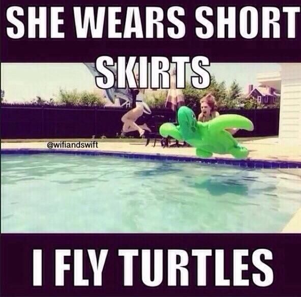 Funny Ninja Memes She Wears Short Skirts I Fly Turtles Image