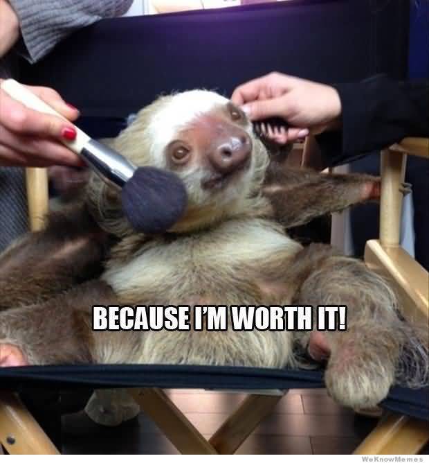 Funny Sloth Memes Because i'm worth it!