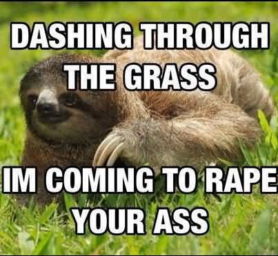 Funny Sloth Memes Dashing through the grass im coming to rapr your ass