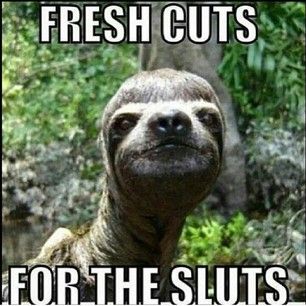 Funny Sloth Memes Fresh cuts for the sluts