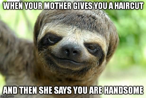 Funny Sloth Memes When your mother gives you a haircut