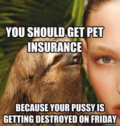 Funny Sloth Memes You should get pet insurance