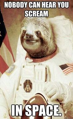 Funny Sloth Rape Memes Nobody can hear you scream in space Images