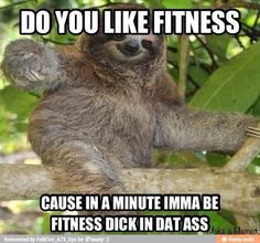 Funny Sloth Wisper Memes Do you like fitness