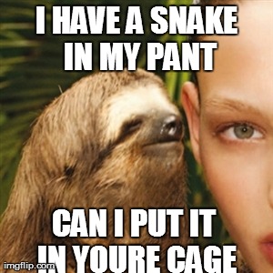 Funny Sloth Wisper Memes I have a snake in my pant can i put it