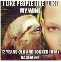 Funny Sloth Wisper Memes I like people like i like my wine 12 years old and locked